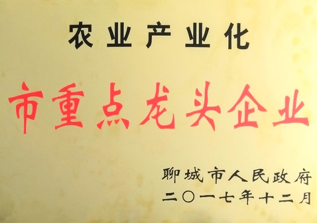 农业产业化市重点龙头企业