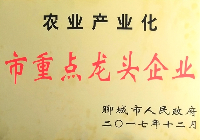 农业产业化市重点龙头企业