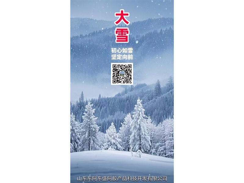 大雪--赴一场冬日的盛景之约