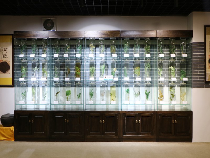 响应政策号召，助力中医药产业腾飞