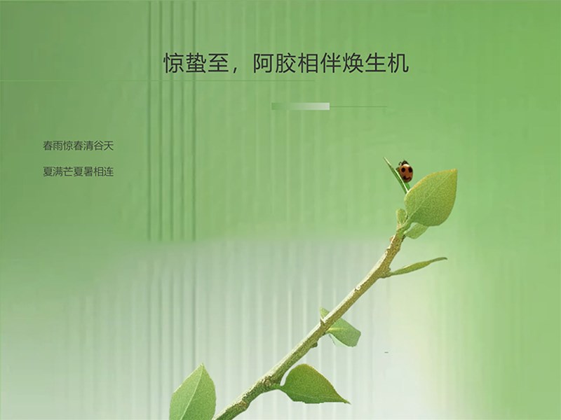 惊蛰至，阿胶相伴焕生机