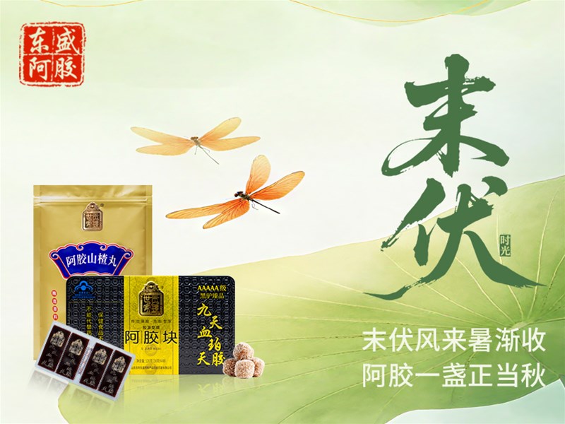 末伏养生密码
