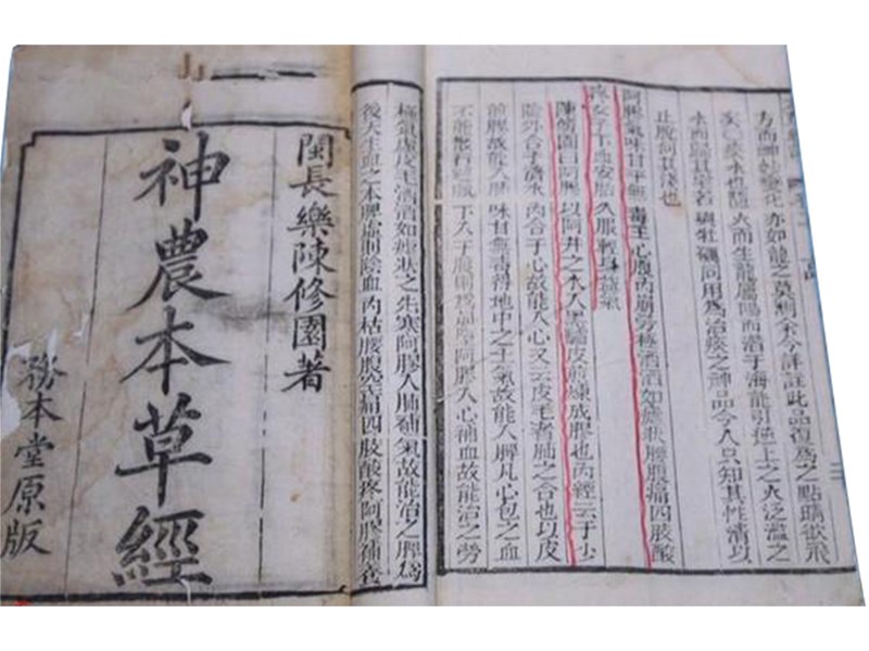 一剂胶方，千载医魂