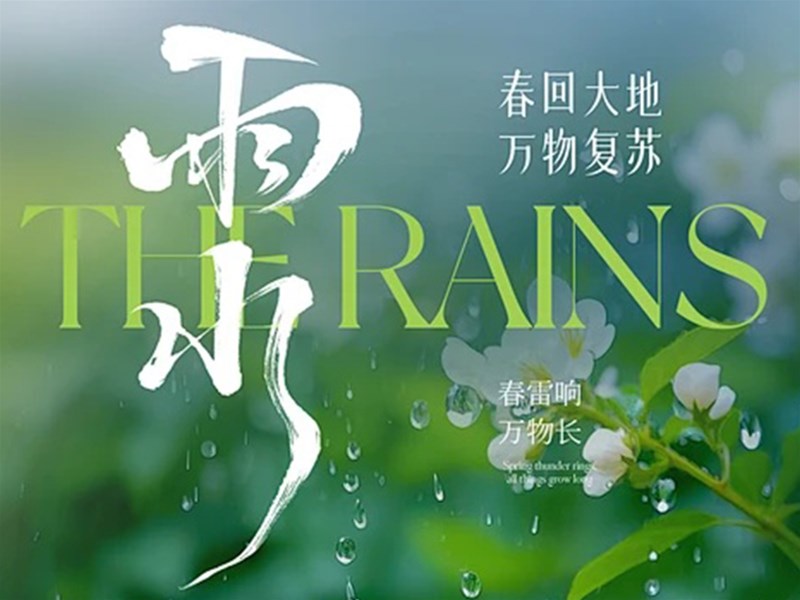 雨水至，润养始｜一碗阿胶，接住春日第一缕温润
