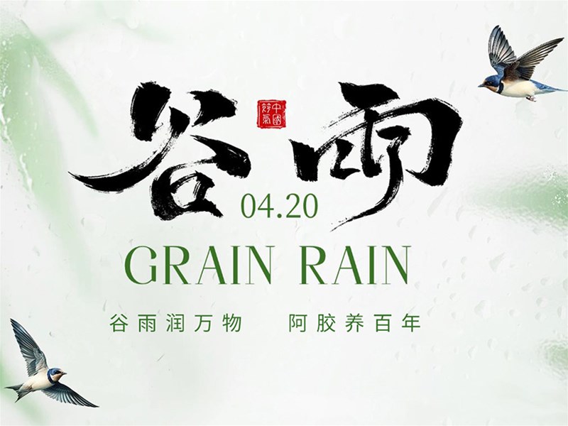 雨生百谷润万物，阿胶温养迎初夏